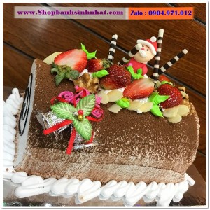 Bánh Kem Tặng Ngày Giáng Sinh - BR09